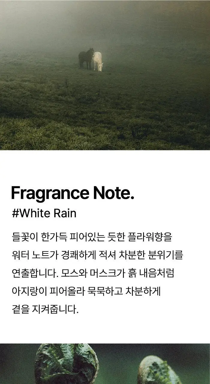 [향기플러팅]아이젠틀맨 오드퍼퓸 50ml(3가지향) 상세페이지 26